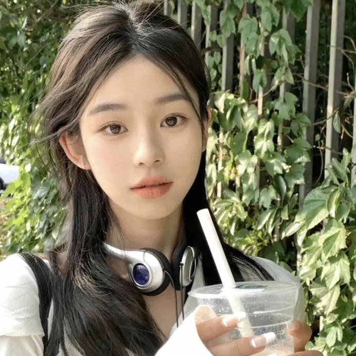 苏菲的抉择 在线观看