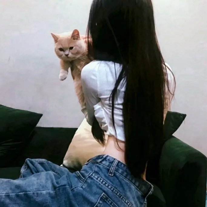第十二个人 在线观看